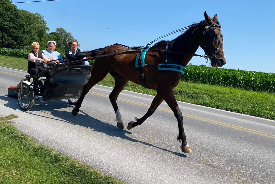 Roy’s Penn Dutch Ride 2023